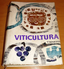 VITICULTURA - T. Martin foto