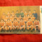Fotografie- Ilustrata -Echipa Steaua Campioana 1975-1976 , 17,5x9,8 cm