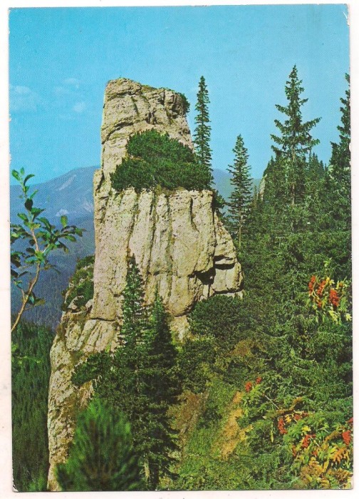 % carte postala (ilustrata ) -MASIVUL BUCEGI