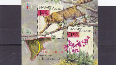 Fauna ecologie pisica ,Bulgaria. foto