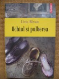 Liviu Barsan - Ochiul si pulberea (Polirom)
