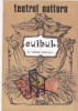 Bnk div Program teatru - Teatrul Nottara 1989 - Cuibul