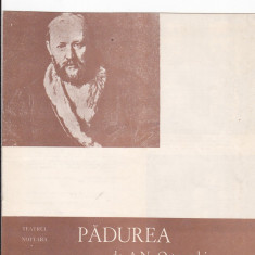 bnk div Program teatru - Teatrul Nottara 1984 - Padurea