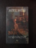OMUL CU BRICIUL - Andreu Martin - 2008, 244 p., Alta editura