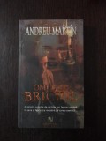 OMUL CU BRICIUL -- Andreu Martin -- 2008, 244 p., Nemira