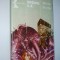 Metania S. A. - Autor : Molter Karoly Ed. Kriterion 1985
