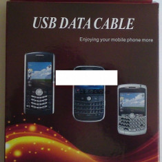 Cablu date Blackberry 8100 / 8320 / 9000
