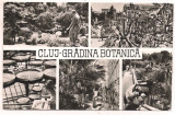 % carte postala (ilustrata) -CLUJ -Gradina botanica, Circulata, Printata