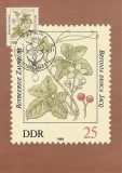 2344 - Germania DDR carte maxima 1982