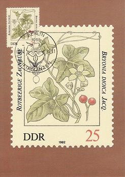 2344 - Germania DDR carte maxima 1982 foto
