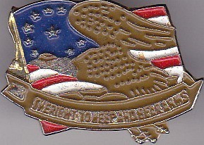 Insigna America foto