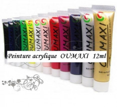 Vopsele acrilice OUMAXI 12x12ml foto