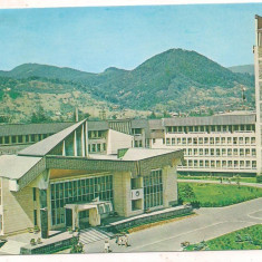 % carte postala (ilustrata) -BAIA MARE -Palatul politic-administrativ