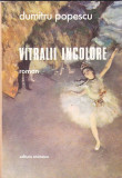 DUMITRU POPESCU - VITRALII INCOLORE