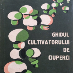 GHIDUL CULTIVATORULUI DE CIUPERCI - N. Mateescu