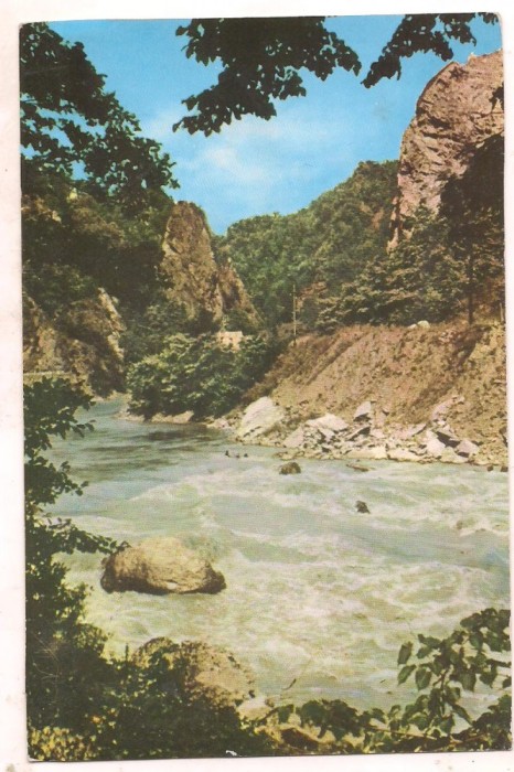 % carte postala (ilustrata) -VALEA OLTULUI