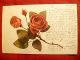 Ilustrata - Trandafiri ,circulat la 1902 ,Iasi-Moinesti ,stamp. gara ,cu 5 bani