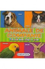 Animale De Companie - Primele Carti Cu Poze foto