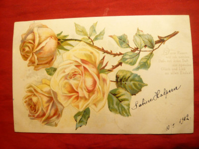 Ilustrata clasica - Trandafiri galbeni - circulat 1902 , Iasi- Moinesti foto