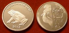 Insula Saba 25 cent 2013 UNC broasca foto