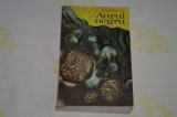 Aurul negru - Cezar Petrescu - Editura Minerva - 1974