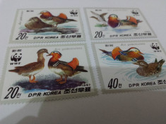 WWF Koreea de Nord 1987 serie MNH Pasari foto