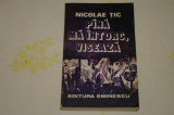 Pana ma intorc, viseaza - Nicolae Tic - Editura Eminescu - 1980