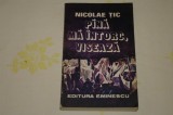 Pana ma intorc, viseaza - Nicolae Tic - Editura Eminescu - 1980