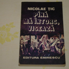 Pana ma intorc, viseaza - Nicolae Tic - Editura Eminescu - 1980