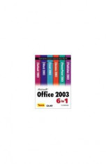 Microsoft Office 2003 6 in 1 - Joe Habraken foto