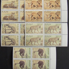 SAHARA OCC 1990 - FAUNA AFRICANA, 5 VALORI IN BLOC , NEOBLITERATE - SAH 016