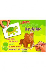 Lipim, Coloram, Invatam - Animale Salbatice foto