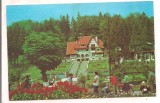% carte postala (ilustrata) -PREDEAL -Sfatul popular