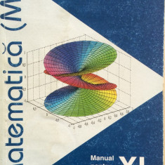 MATEMATICA MANUAL PENTRU CLASA A XI-a M1 - Ilie Petre Iambor, Stefan Mirica