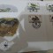 WWF FDC Tristan da Cunha 1991 serie Pasari