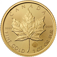 2015 Moneda de Aur Frunza de Artar foto