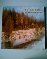 CULOARE - GAND si FLORIN TUTA POPESCU, IOANA TUTA POPESCU - AUTOGRAF (5+1)5 foto