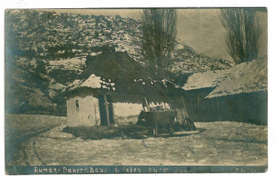 3032 - TURNU ROSU, Sibiu, Country House - old postcard, real PHOTO - unused foto