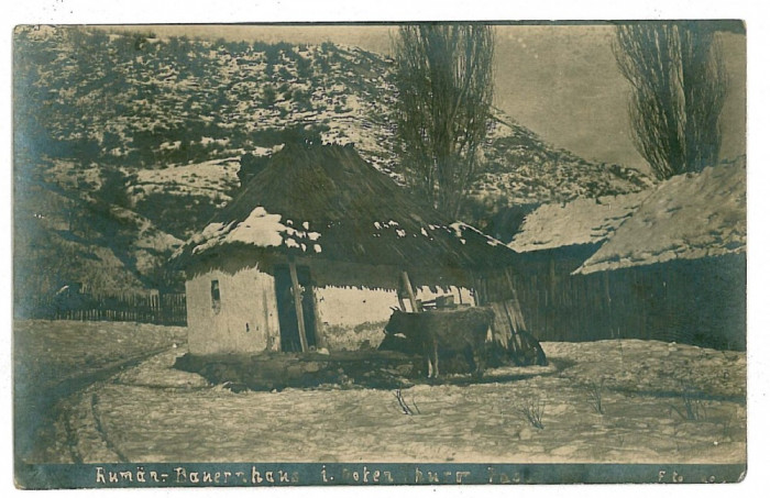 3032 - TURNU ROSU, Sibiu, Country House - old postcard, real PHOTO - unused