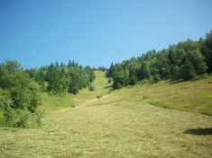 Teren intravilan de vanzare foto