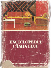 (C6098) ENCICLOPEDIA CAMINULUI foto