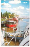 % carte postala (ilustrata)-DUNAREA LA TURNU SEVERIN