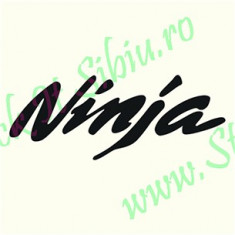 kawasaki Ninja_Stickere Moto_Tuning _ Cod: MDEC-137-Dimensiuni: 15 cm. x 6 cm. foto