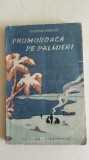 Promoroaca pe palmieri - Ghiorghi Gurevici