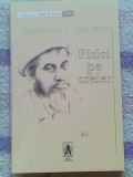 Pitici pe creier-Constantin T.Ciubotaru