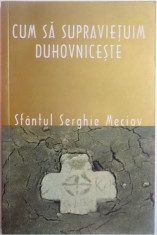 CUM SA SUPRAVIETUIM DUHOVNICESTE de SFANTUL SFINTIT MUCENIC SERGHIE MECIOV , 2008 foto