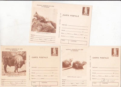 bnk fil Romania 1977 set 3 cp Animale ocrotite de lege in Romania foto