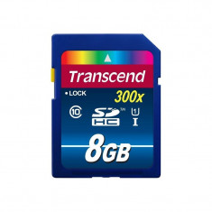 Card TRANSCEND SDHC 8GB Class10 UHS-I 300x foto