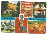 % carte postala (ilustrata)-TIMISOARA-Muzeul Banatului-colaj, Circulata, Printata