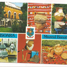 % carte postala (ilustrata)-TIMISOARA-Muzeul Banatului-colaj